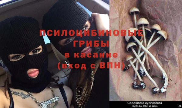 прущая мука Богородск