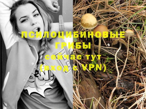 каннабис Богданович