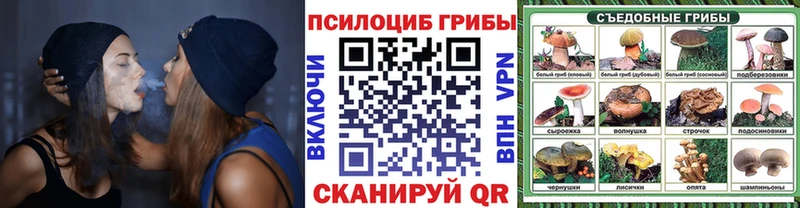 дарнет шоп  Новороссийск  Псилоцибиновые грибы Cubensis 